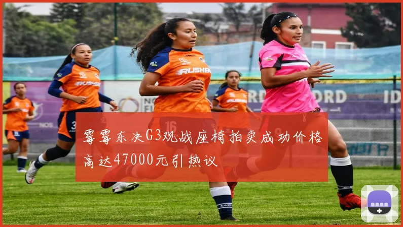 霉霉东决G3观战座椅拍卖成功价格高达47000元引热议